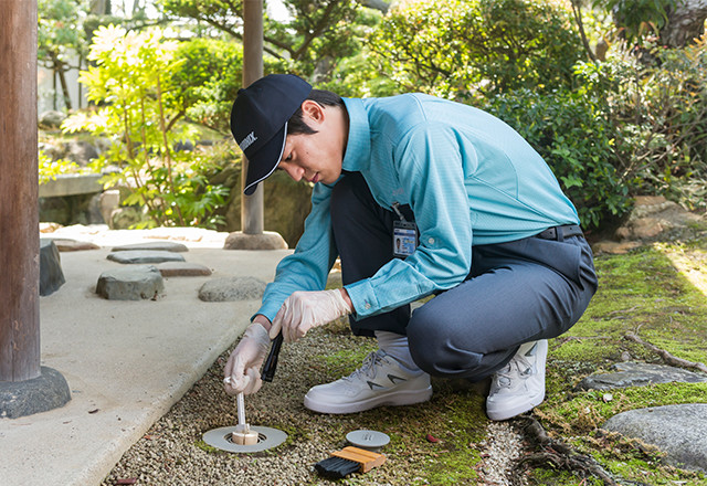 家庭用害虫駆除定期サービス
